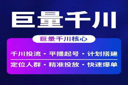 某电商平台的SEM广告投放策略及效果评估